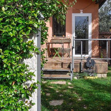 Acogedora Casa Con Verde Jardin By Cabana Rentals Ituero y Lama Экстерьер фото